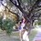 raymiandreatarifaescobar
